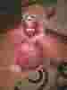 ������ ���� ���������� ������